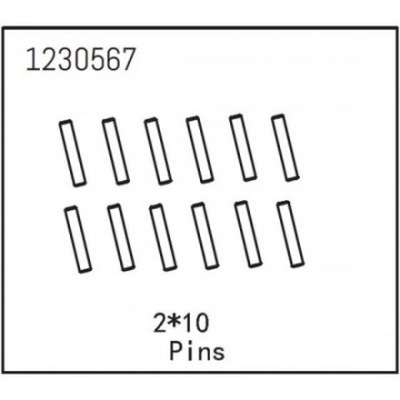 Pins 2x10