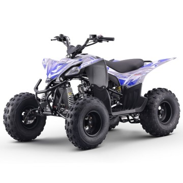 Quad 125cc ROAN DAKAR R8