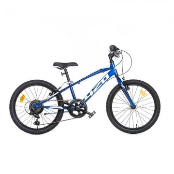 Bicicleta Blue Mountain  R20
