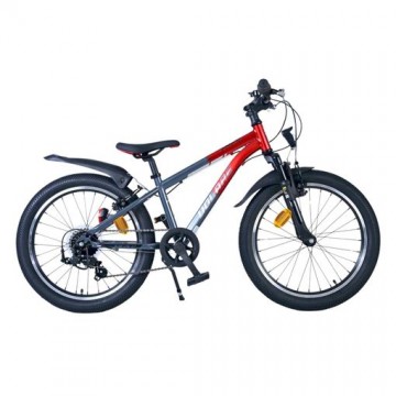 Bicicleta XC race R20