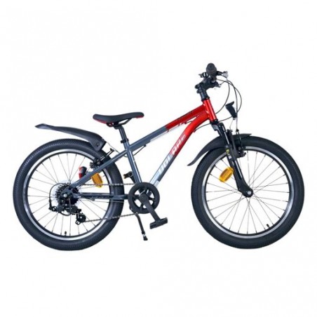 Bicicleta XC race R20