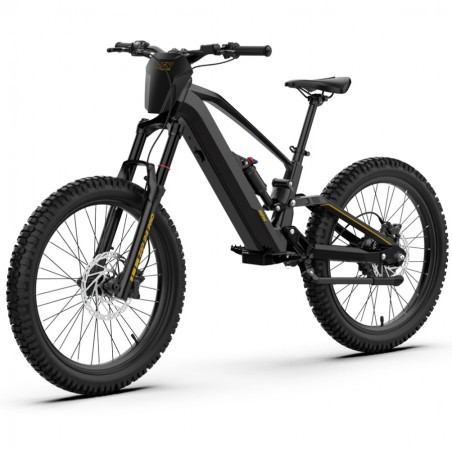 Bicicleta eléctrica sin pedales 1000W 48V RFN EVO PRO 24”