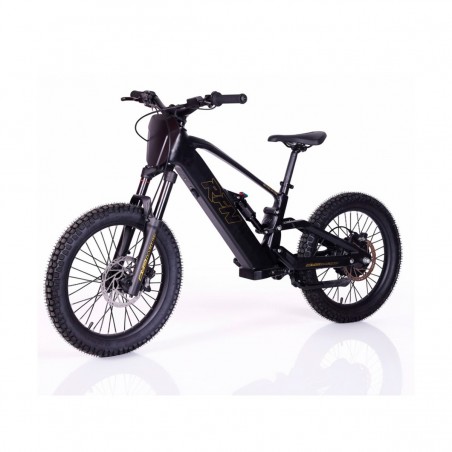 Bicicleta Eléctrica RFN ZIP PRO 20” 1000W 48V