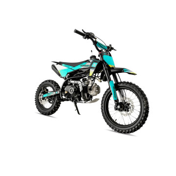 Pit Bike Dorado DMX 110cc...