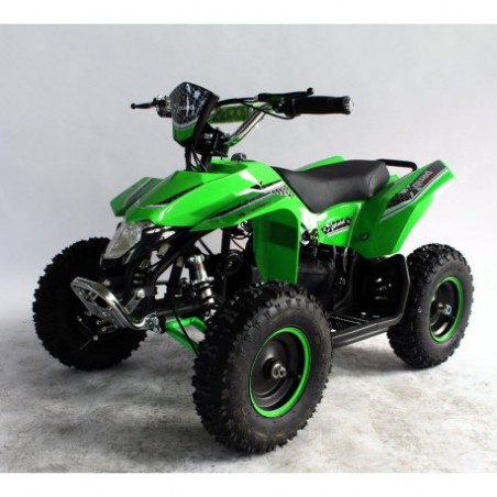Quad UTV MAPACHE 36V 800W