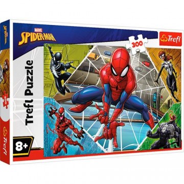 PUZZLES 300 PCS - BRILLIANT...