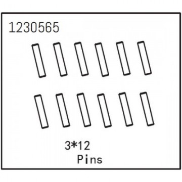 Pins 3x12